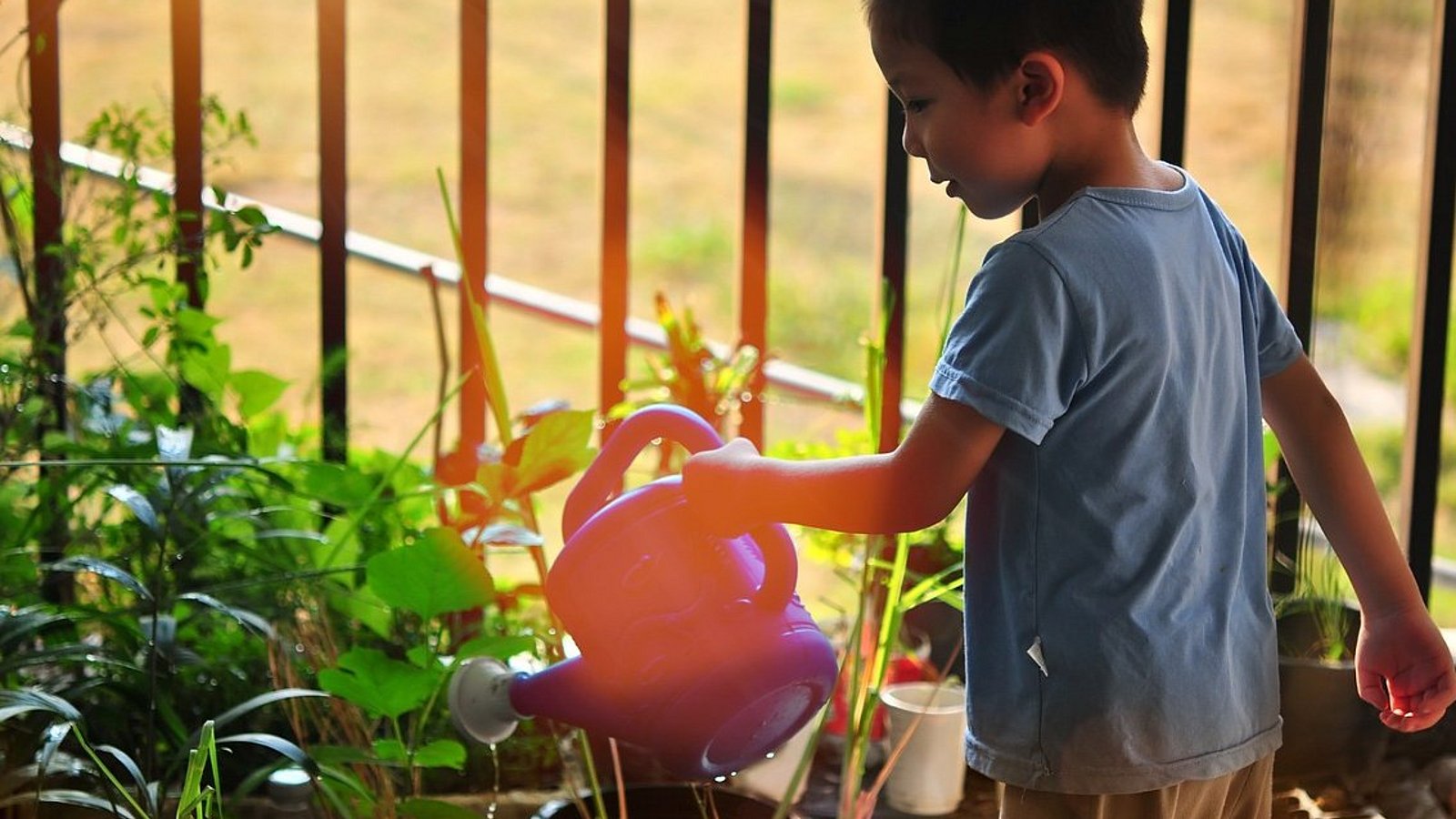 Ein kleiner Junge gießt mit einer orangefarbenen Plastikgießkanne Pflanzen, die in großen Töpfen gepflanzt sind. 