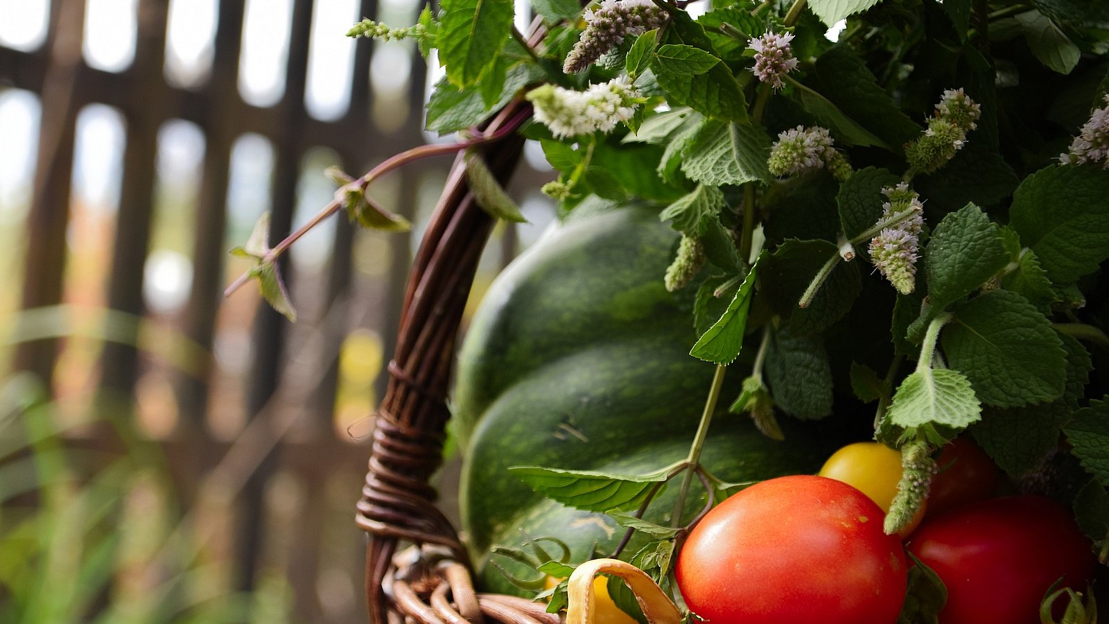 Foto zeigt Obst- und Gemüsekorb auf einer Wiese, im Hintergrund ist ein hölzener Gartenzaun zu sehen. 