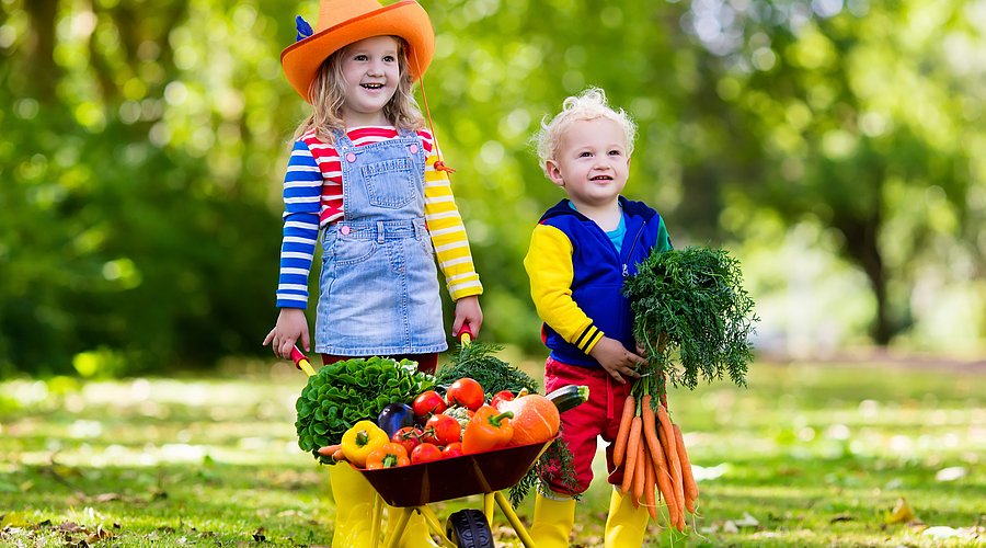 Ein Mädchen und ein Junge im Kindergartenalter stehen in einem Garten. Das Mädchen hält eine Schubkarre voller Gemüse in der Hand, der Junge ein großes Bund Möhren.