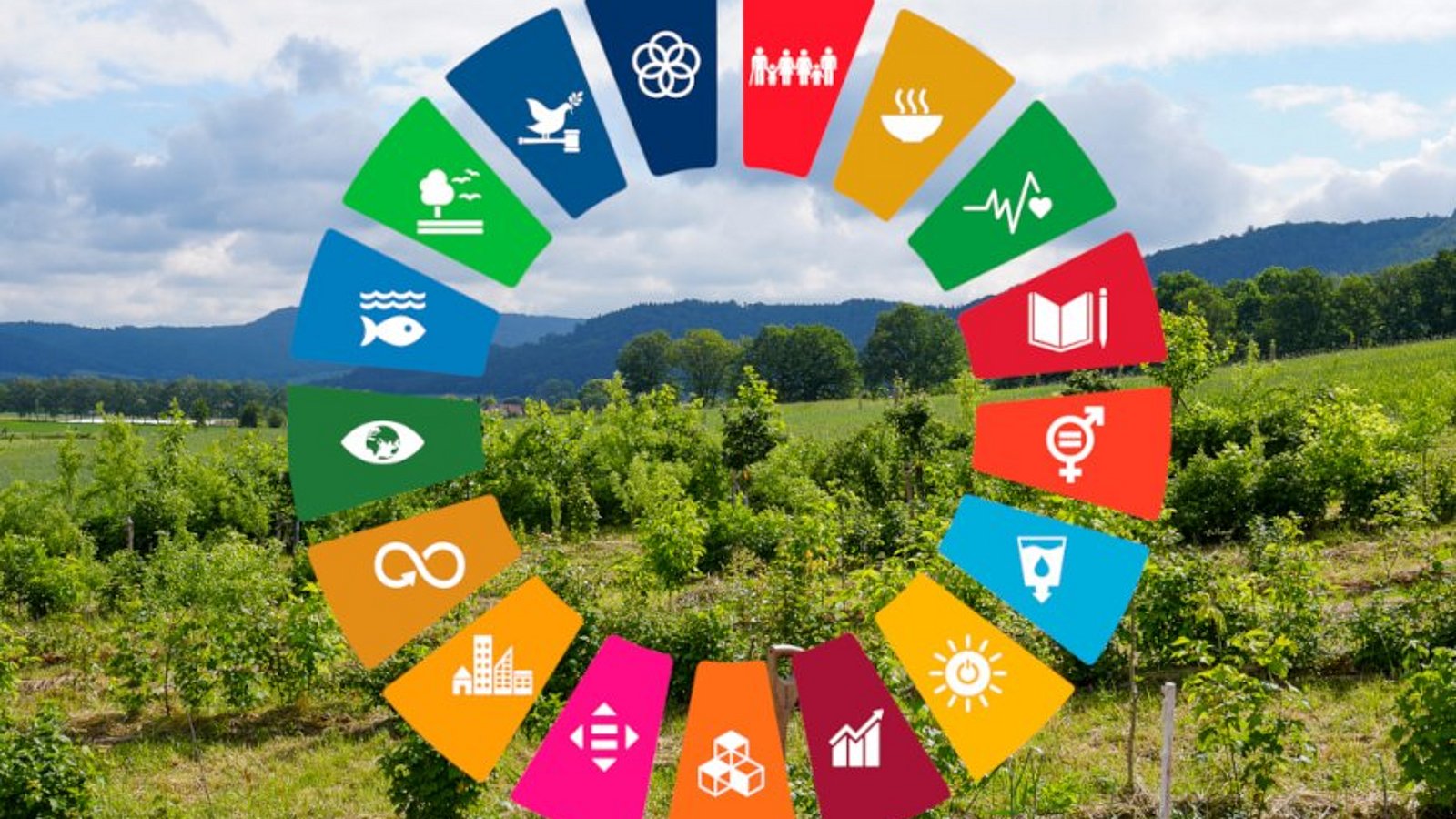 Landschaft mit Grafik zu den 17 Sustainable Development Goals