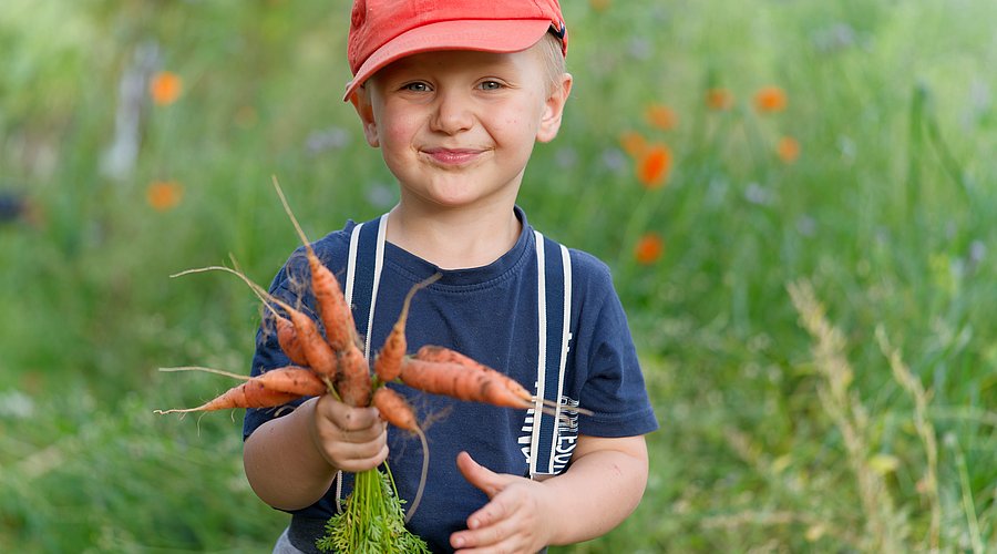 Kleiner Junge mit Sommerhut hält einen Bund Möhren in der Hand.