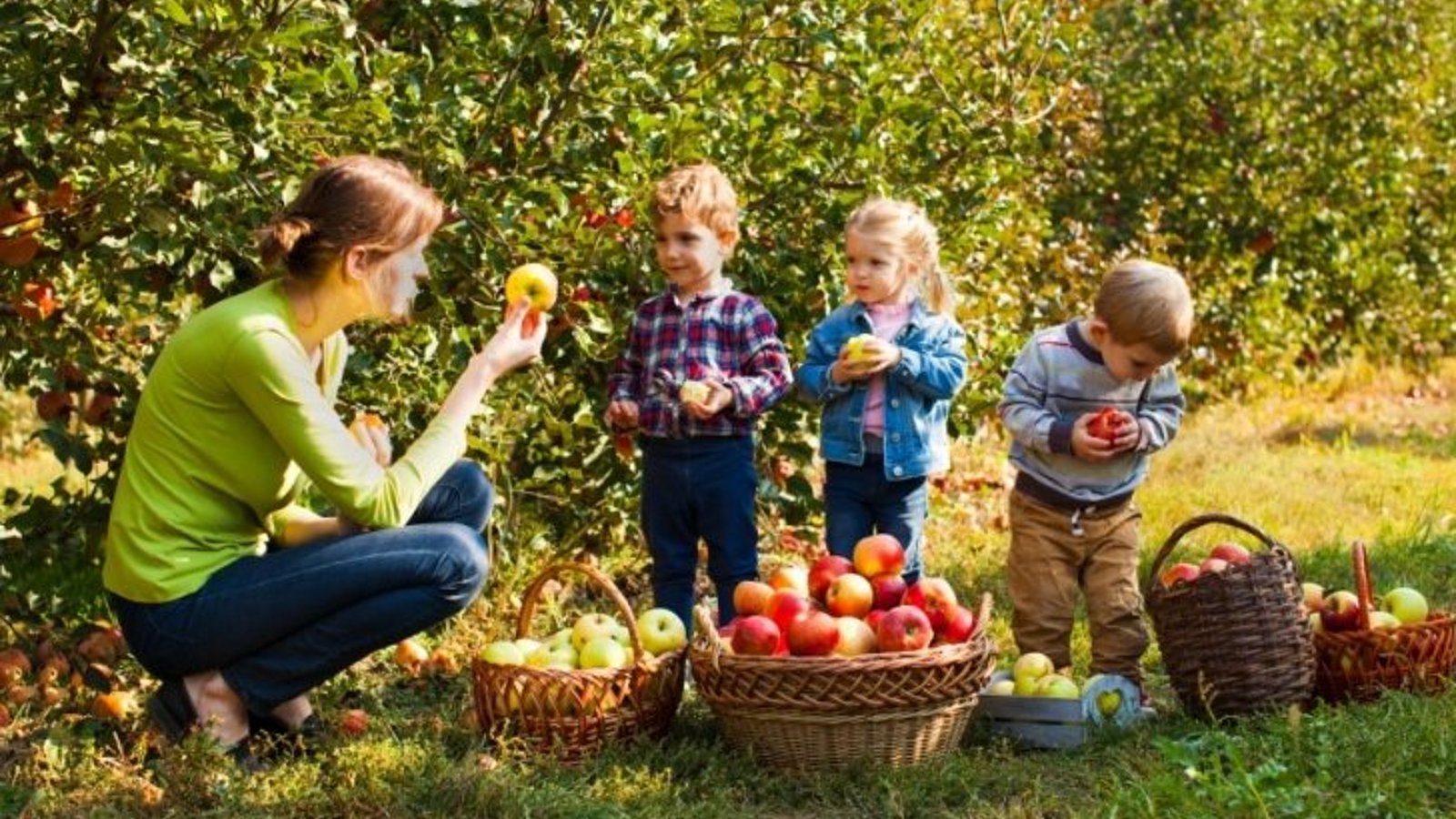 Lehrerin zeigt Schülern Äpfel auf einer Obstwiese