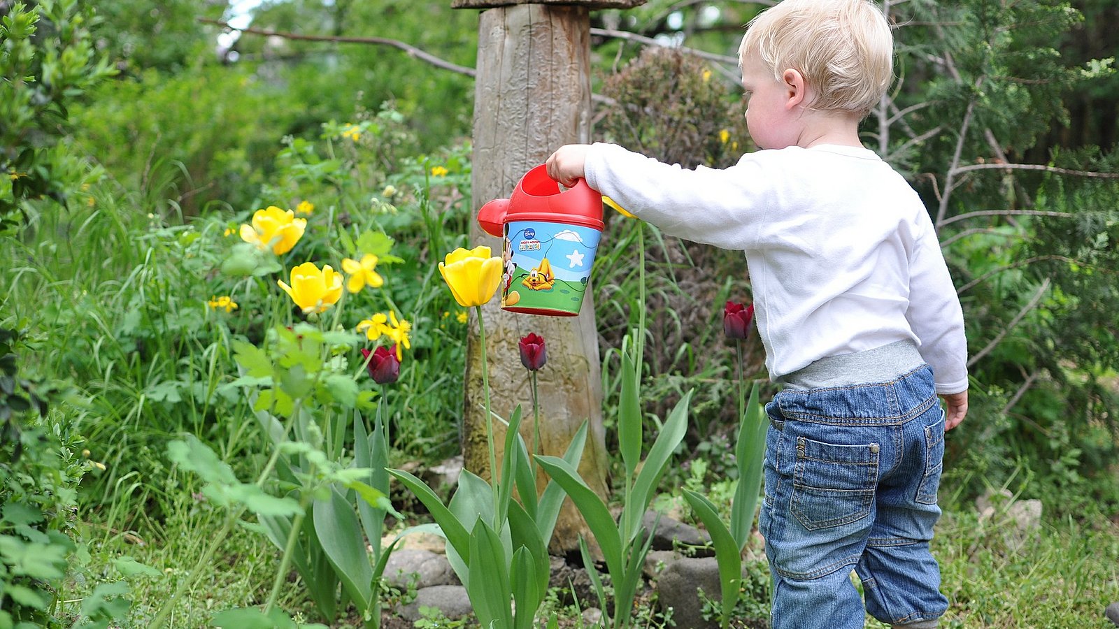 Kleinkind gießt Blumen 