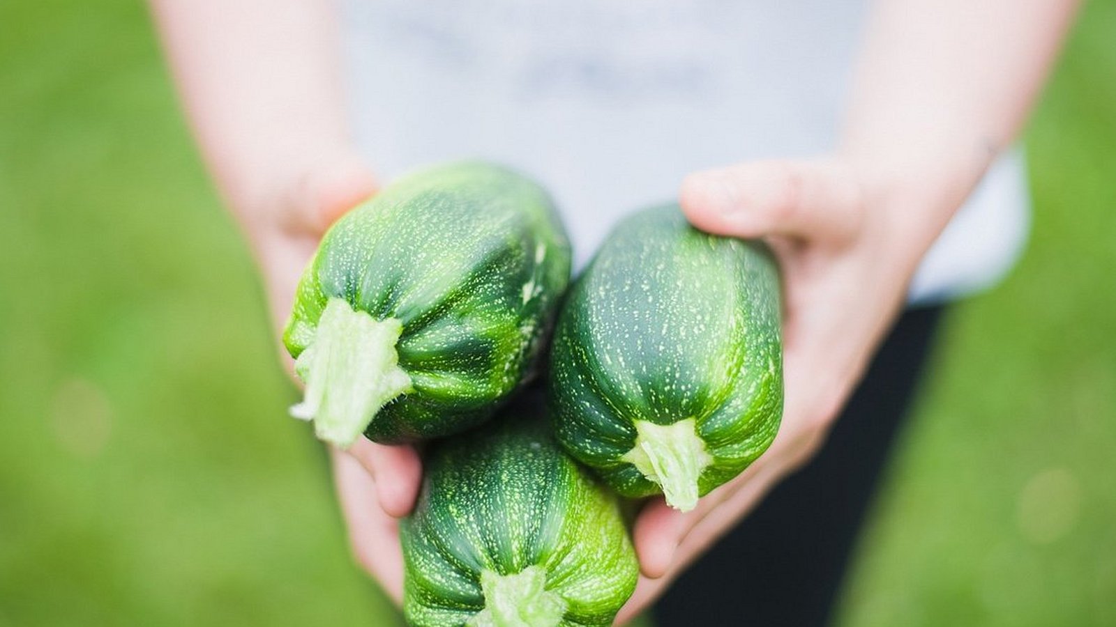 Kind hält drei große Zucchini in der Hand. 