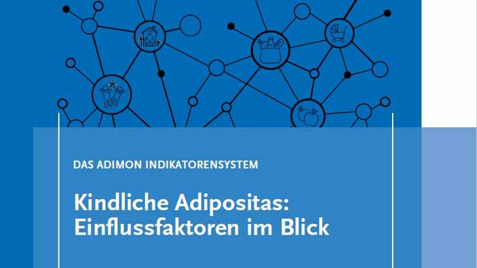 Titelbild der RKI Broschüre "Das Adimon Indikatorensystem" 