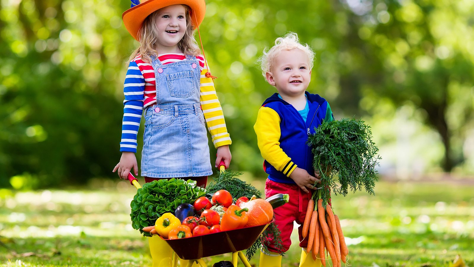 Ein Mädchen und ein Junge im Kindergartenalter stehen in einem Garten. Das Mädchen hält eine Schubkarre voller Gemüse in der Hand, der Junge ein großes Bund Möhren.